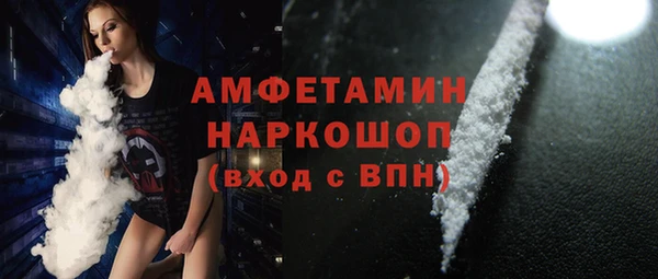 шишки Каменногорск
