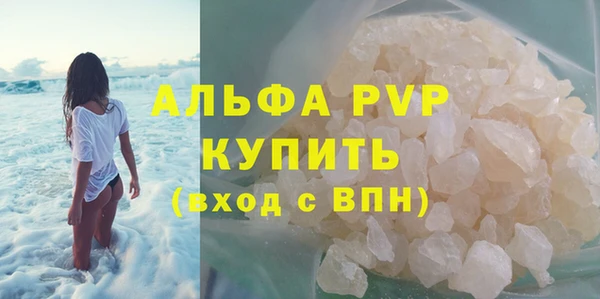 шишки Карпинск