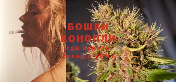 шишки Карпинск