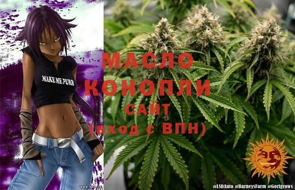 шишки Каменногорск