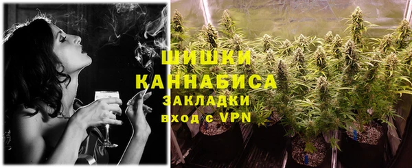 шишки Каменногорск