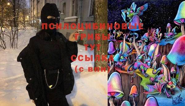 шишки Каменногорск