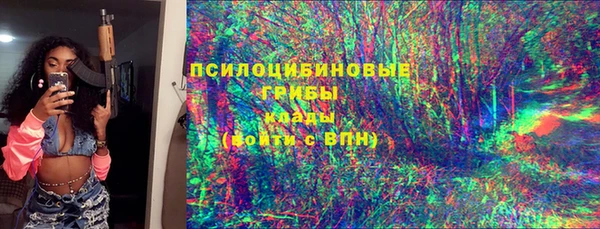 шишки Каменногорск