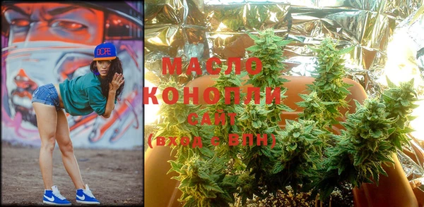 шишки Каменногорск