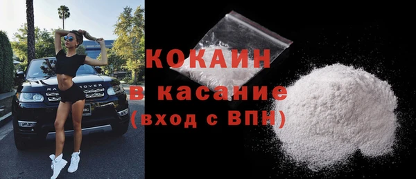 шишки Каменногорск