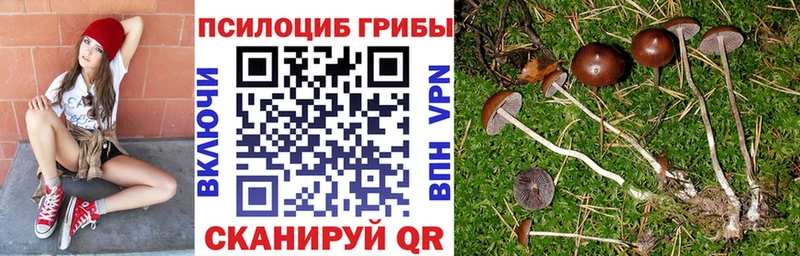 Псилоцибиновые грибы мухоморы  Княгинино 